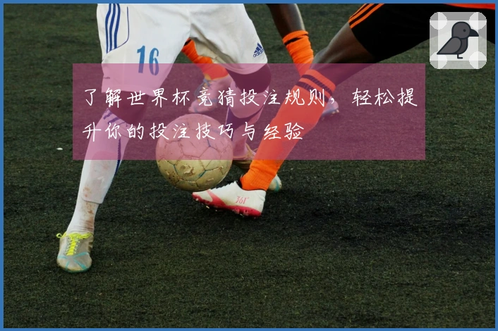 了解世界杯竞猜投注规则，轻松提升你的投注技巧与经验