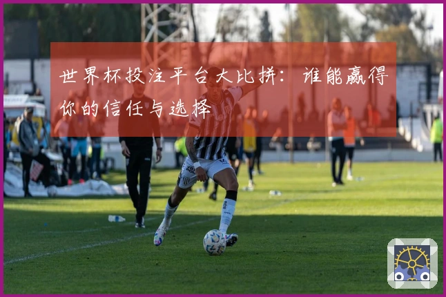 世界杯投注平台大比拼：谁能赢得你的信任与选择