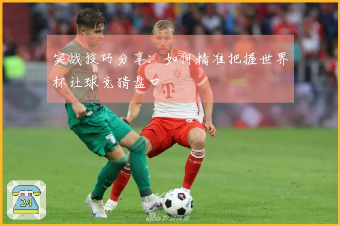 实战技巧分享：如何精准把握世界杯让球竞猜盘口