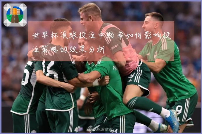 世界杯滚球投注中赔率如何影响投注策略的效果分析