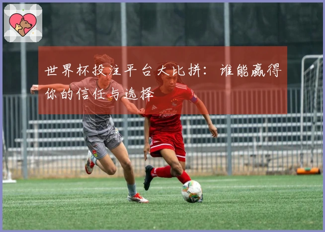 世界杯投注平台大比拼：谁能赢得你的信任与选择
