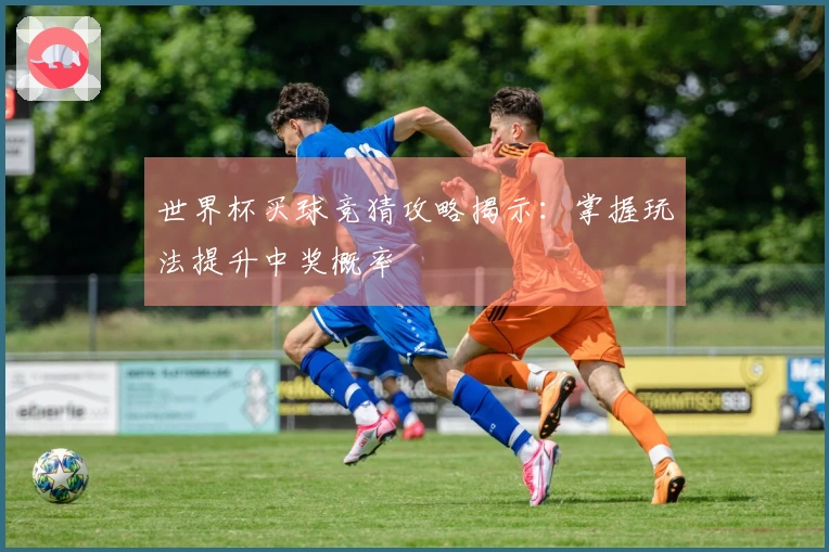 世界杯买球竞猜攻略揭示：掌握玩法提升中奖概率