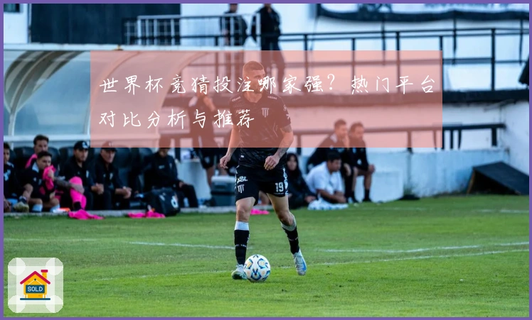 世界杯竞猜投注哪家强？热门平台对比分析与推荐