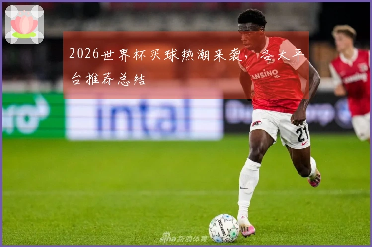 2026世界杯买球热潮来袭，各大平台推荐总结